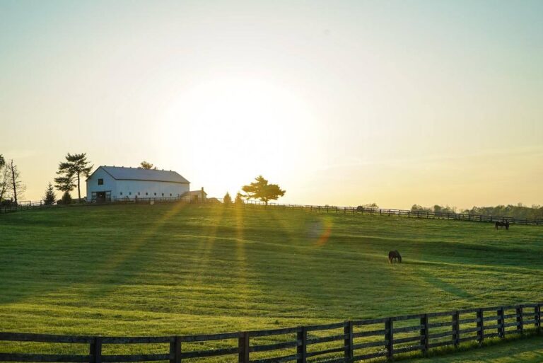 Sunlit rural landscape with a white barn, green pasture, wooden fence, and grazing horses.
