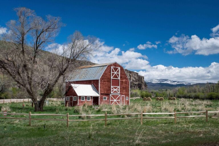 Red wooden barn with white trim beside leafless trees and hay bales in grassy field under blue sky.