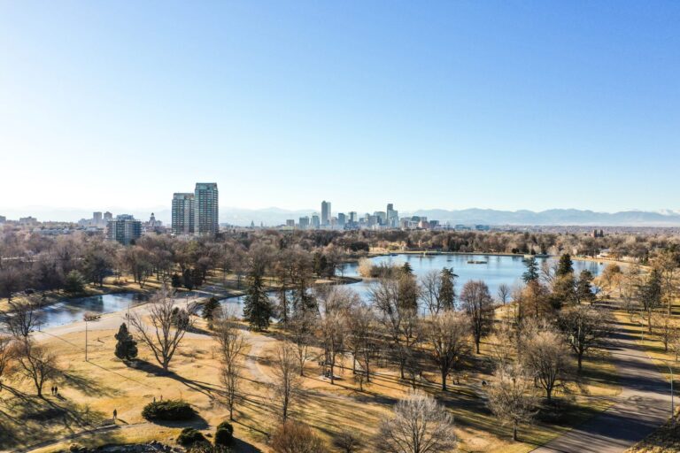 Aerial view of an urban park with leafless trees, walking paths, a large pond, and a city skyline under a clear blue sky.