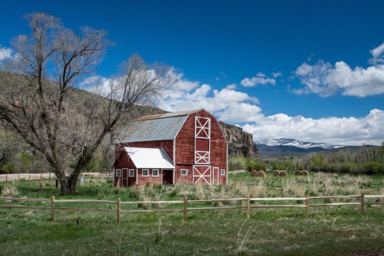 Red wooden barn with white trim in a grassy field, leafless trees, hay bales, and distant snow-capped mountains under a blue sky.
