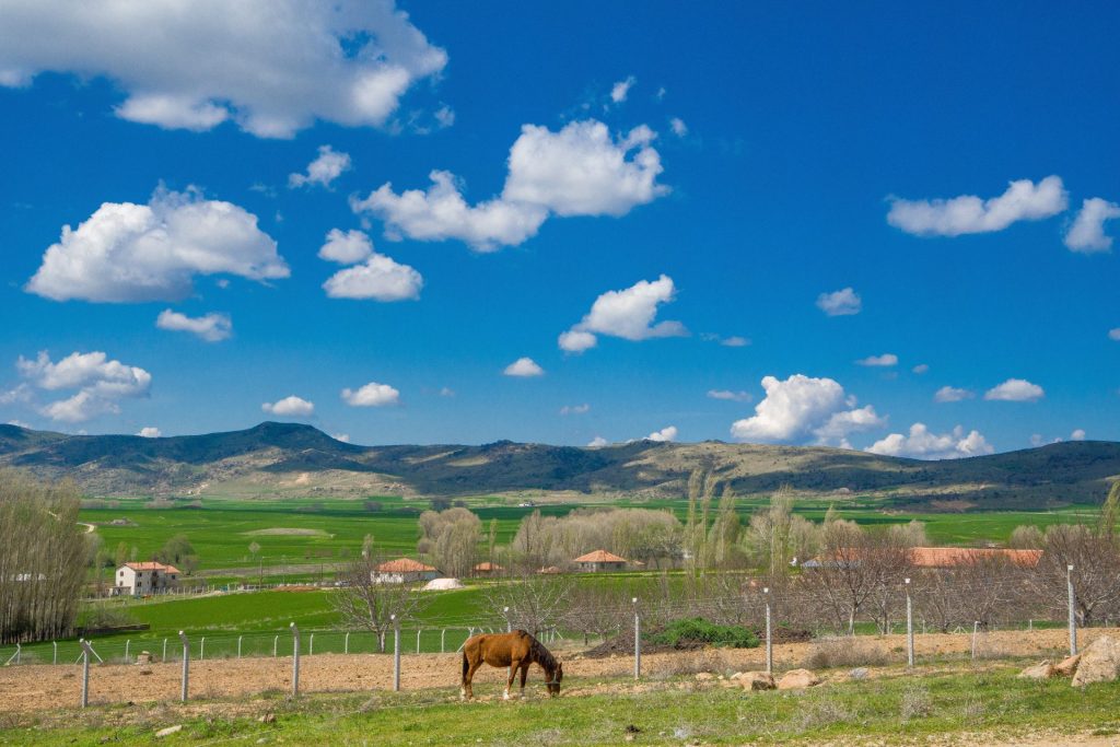 farm and ranch for sale