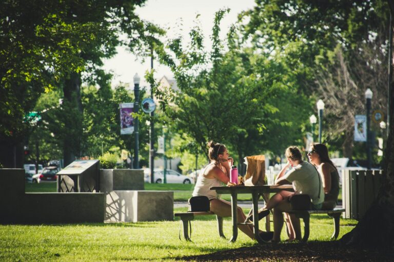 Three women sitting at a picnic table in a sunlit park surrounded by green trees.