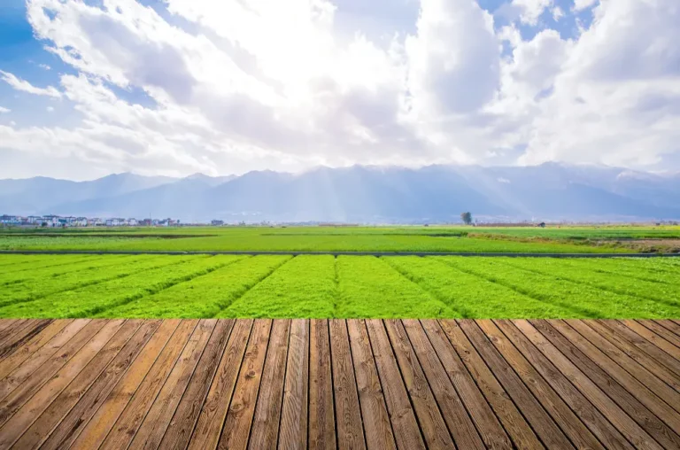 Wooden deck overlooking vibrant green agricultural fields with distant mountains under a partly cloudy sky.