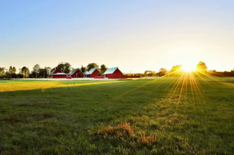 Sunset over green farmland with red barns and trees in the background.