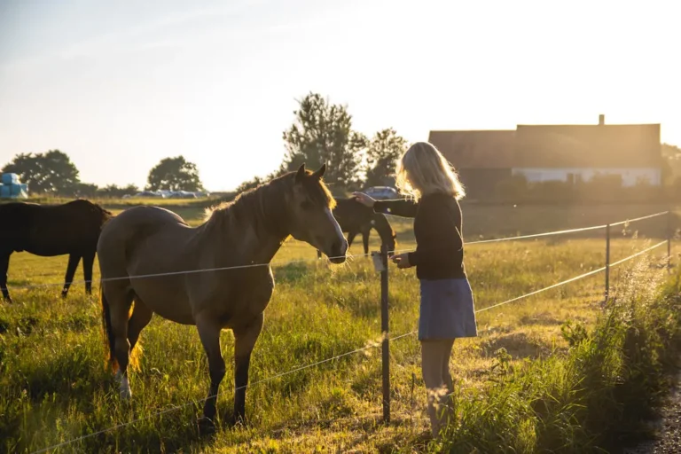 Woman gently petting a brown horse in a sunlit rural pasture at sunset.