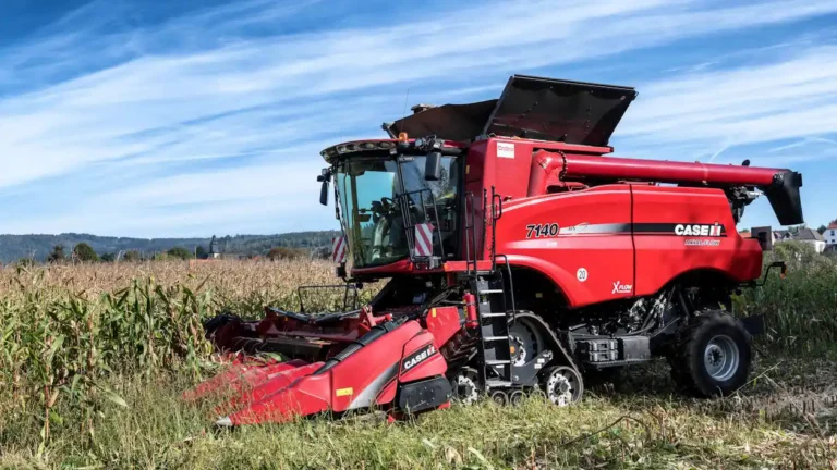 Red Case IH 7140 combine harvester operating in a cornfield under a blue sky.