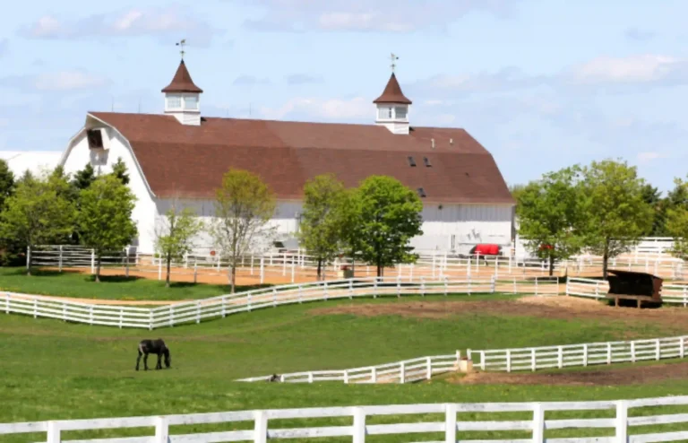 White barn with brown roof and two cupolas, surrounded by white fences and green pasture with grazing horse.