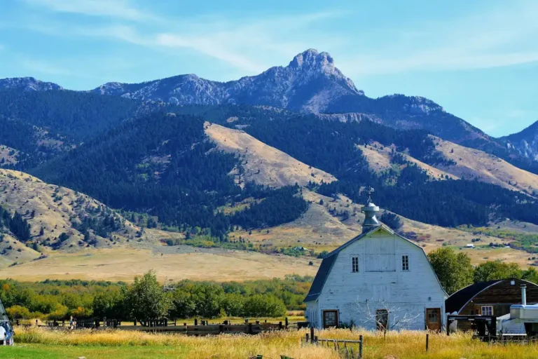 White barn in grassy field with forested mountains and clear blue sky background.