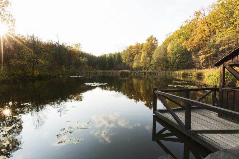 Tranquil lake with autumn trees, lily pads, and wooden dock under bright sunlight.
