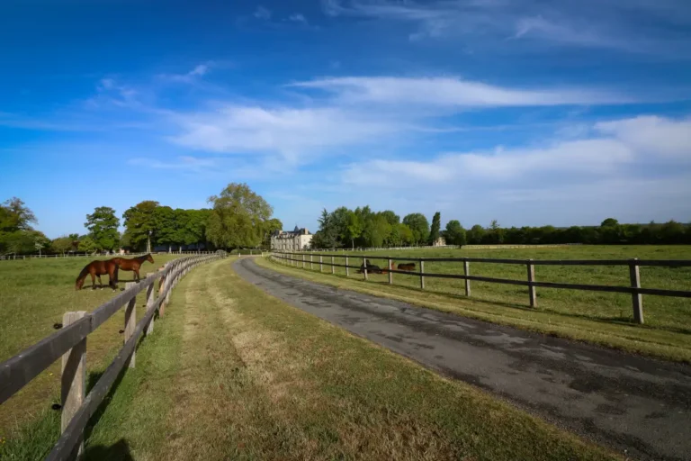 Country road flanked by wooden fences and grazing horses under a partly cloudy blue sky.