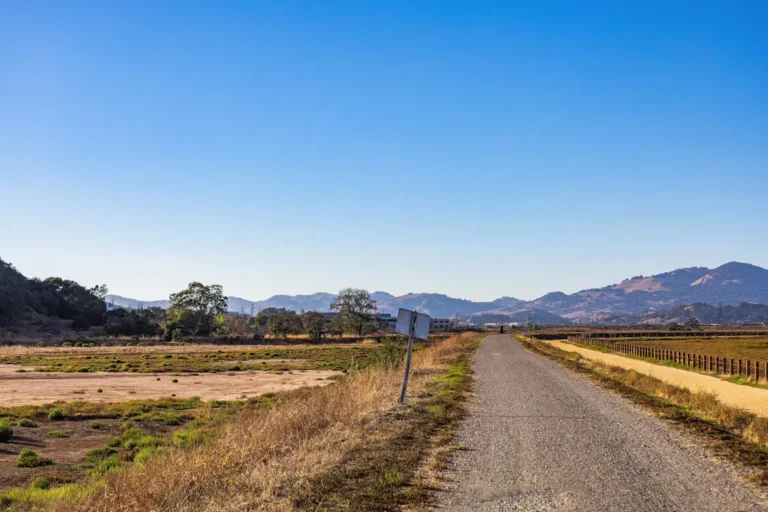Gravel pathway through dry grassy fields with distant hills under a clear blue sky.