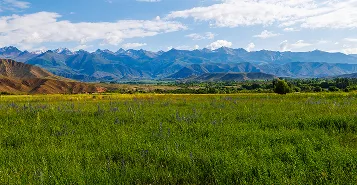 Vast green field with distant snow-capped mountains under a partly cloudy sky.
