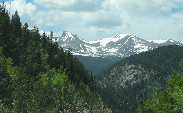 Snow-capped mountain peaks with dense green pine forests and a partly cloudy sky.