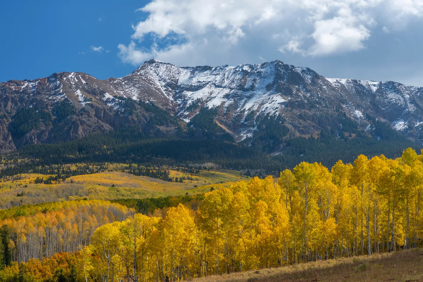 Mountain range with snow-capped peaks, dense green forest, and bright yellow autumn trees under a partly cloudy sky.