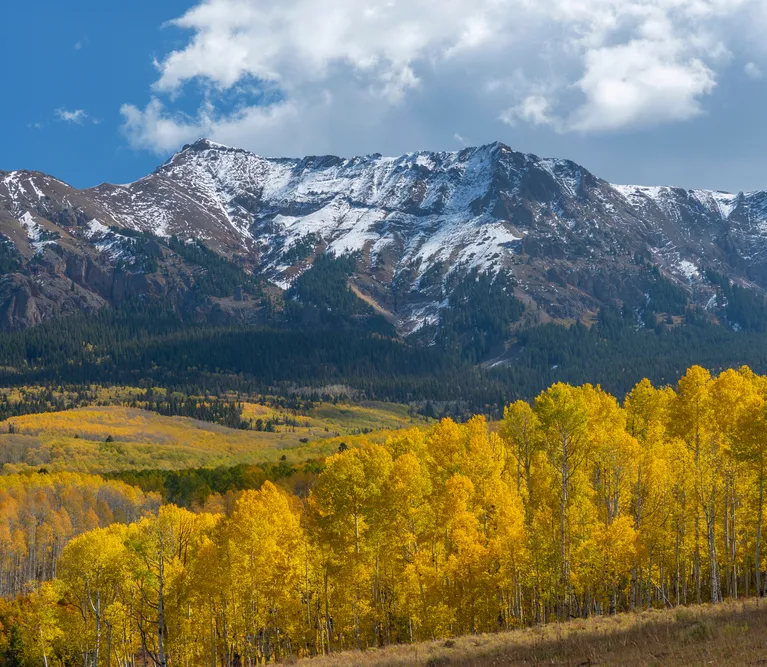 Snow-capped mountain range under cloudy sky with dense yellow autumn forest in foreground.