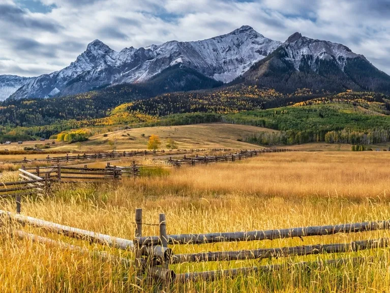 Expansive golden grassland with wooden fences, dense green and autumnal forest, and snow-capped mountains under a cloudy sky.
